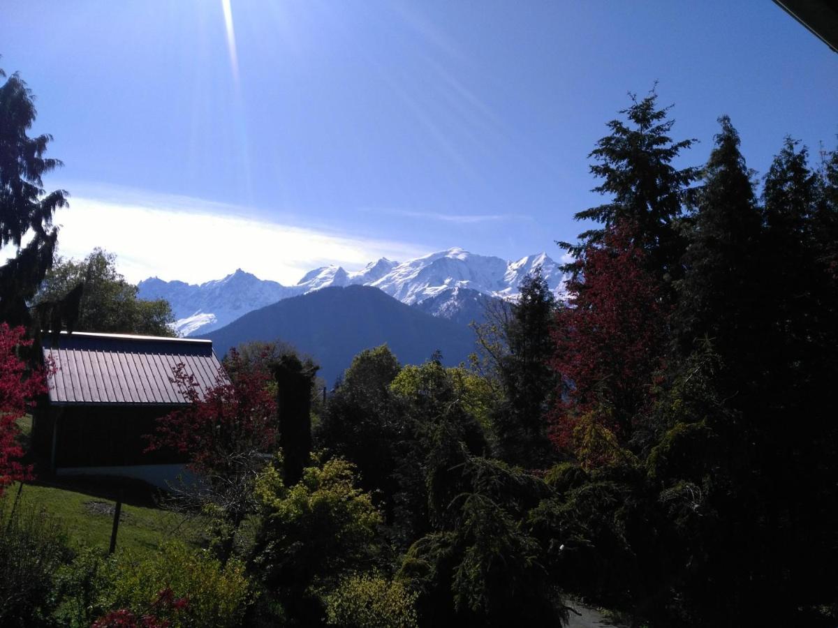 Ferienwohnung Mont Etape , F2, 42 M2, Calme, Vue Mt Blanc Passy  Zimmer foto